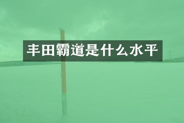 丰田霸道是什么水平