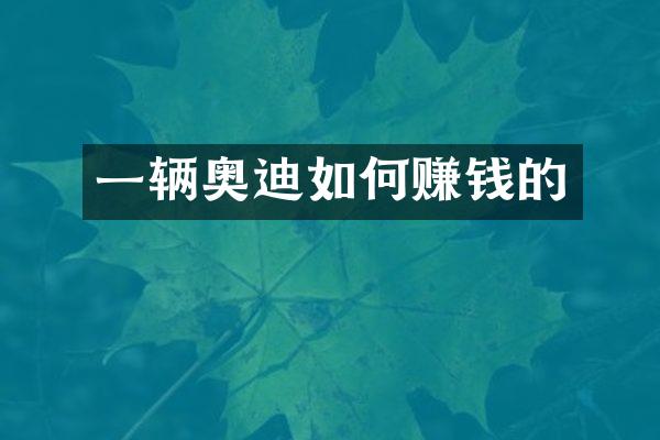 一辆奥迪如何赚钱的