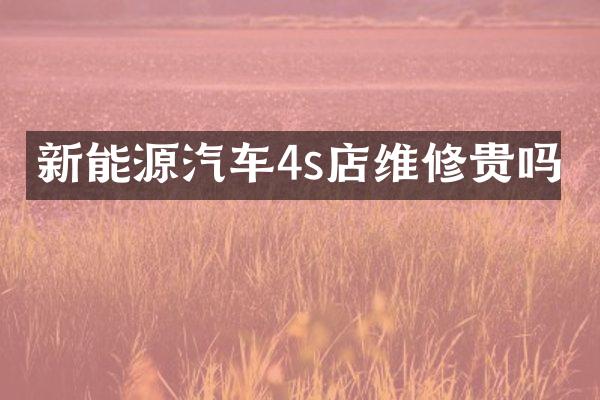 新能源汽车4s店维修贵吗