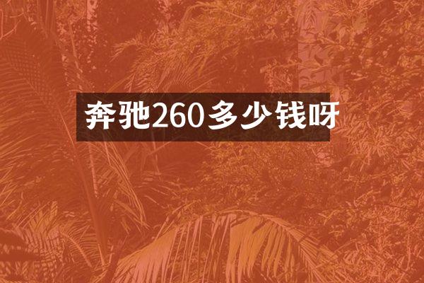 奔驰260多少钱呀