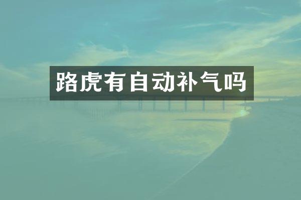 路虎有自动补气吗