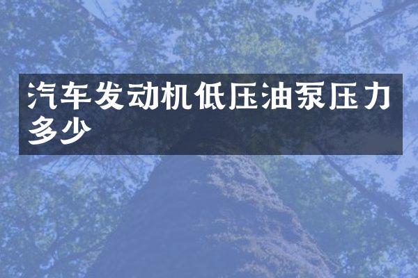 汽车发动机低压油泵压力多少