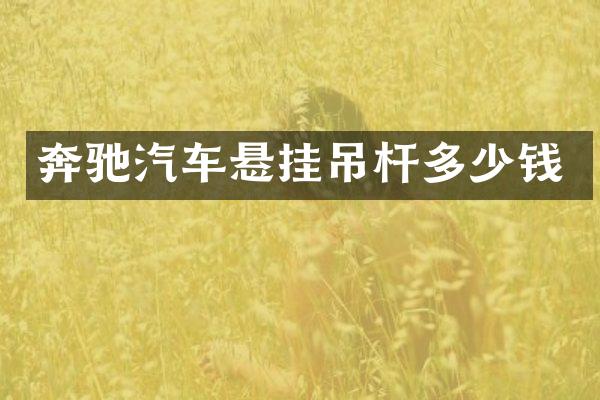奔驰汽车悬挂吊杆多少钱