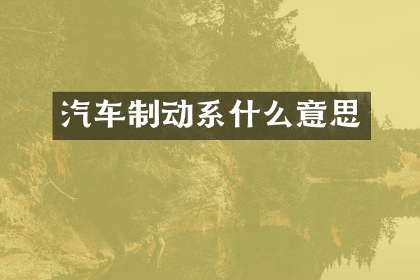 汽车制动系什么意思