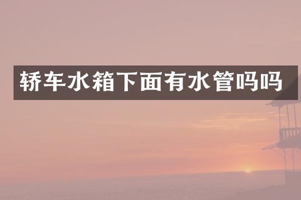 轿车水箱下面有水管吗吗