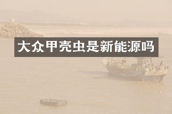 大众甲壳虫是新能源吗