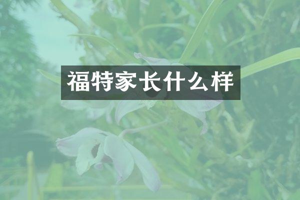 福特家长什么样