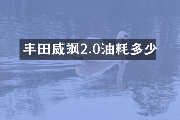 丰田威飒2.0油耗多少