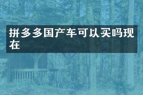 拼多多国产车可以买吗现在