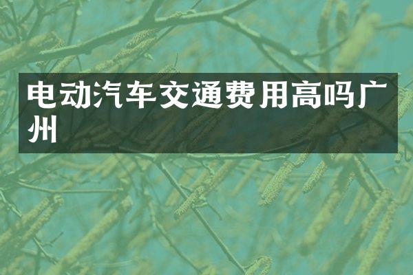 电动汽车交通费用高吗广州