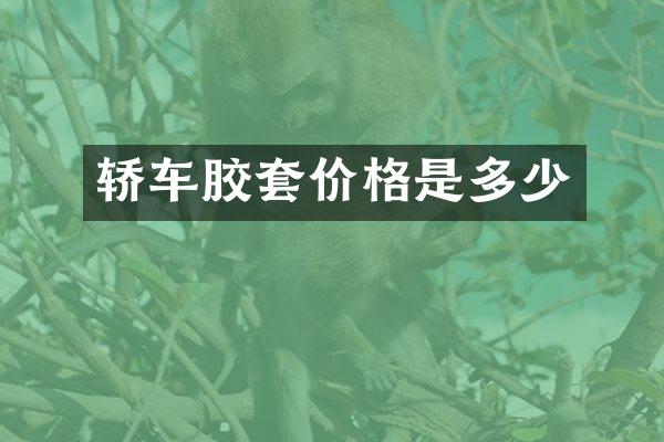 轿车胶套价格是多少