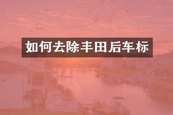 如何去除丰田后车标