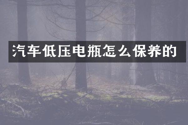 汽车低压电瓶怎么保养的