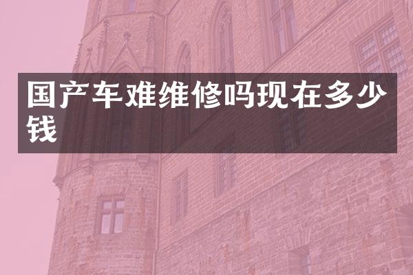 国产车难维修吗现在多少钱