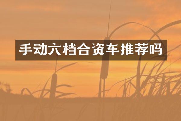 手动六档合资车推荐吗