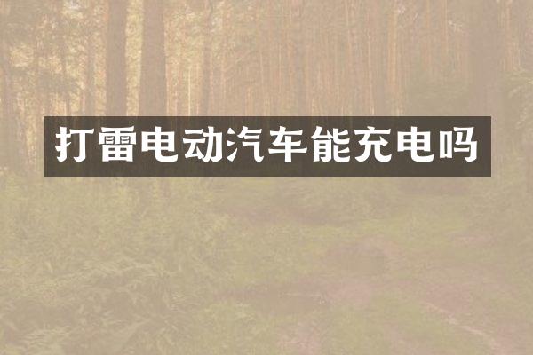 打雷电动汽车能充电吗