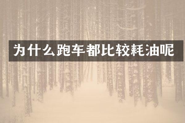 为什么跑车都比较耗油呢