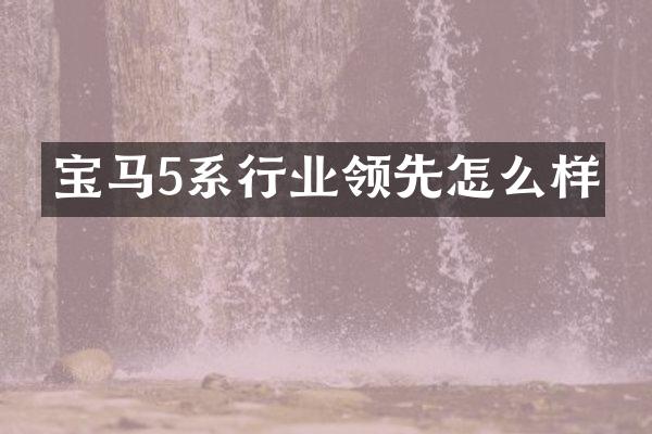 宝马5系行业领先怎么样