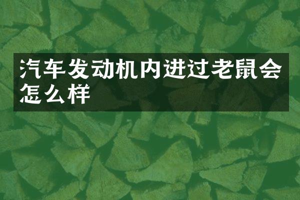 汽车发动机内进过老鼠会怎么样