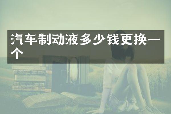 汽车制动液多少钱更换一个