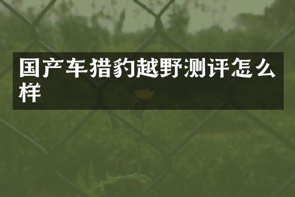 国产车猎豹越野测评怎么样