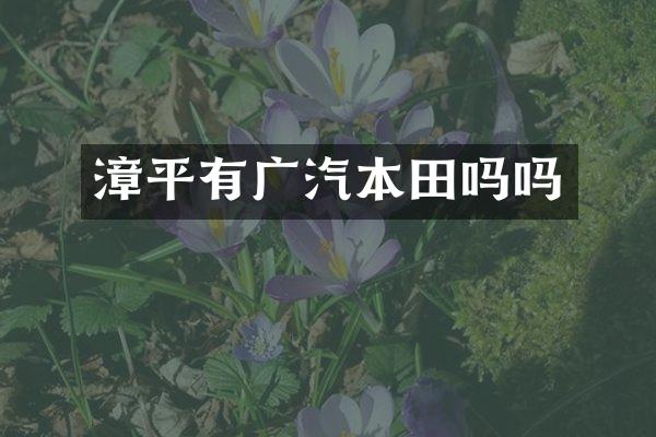 漳平有广汽本田吗吗