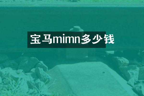宝马mimn多少钱