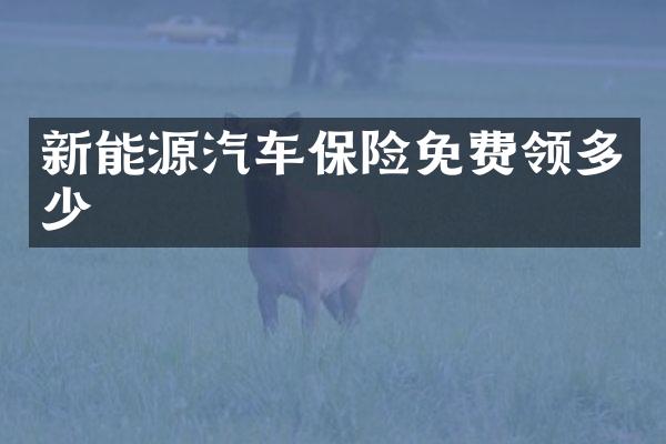 新能源汽车保险免费领多少