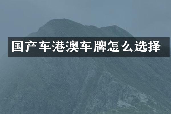 国产车港澳车牌怎么选择