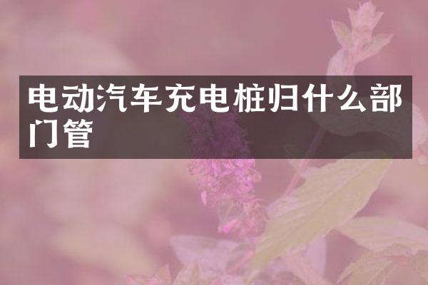 电动汽车充电桩归什么部门管