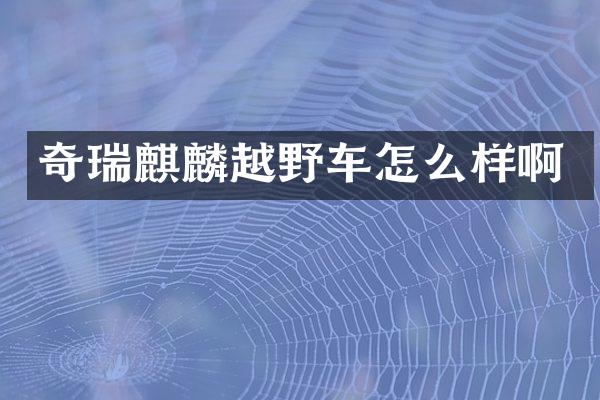 奇瑞麒麟越野车怎么样啊