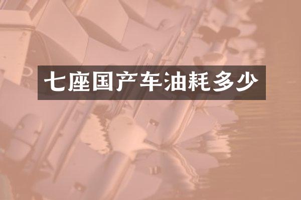 七座国产车油耗多少