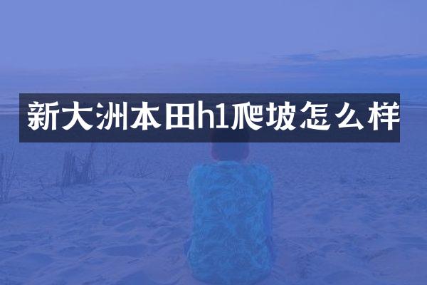 新大洲本田h1爬坡怎么样