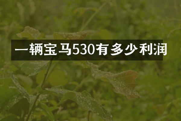 一辆宝马530有多少利润