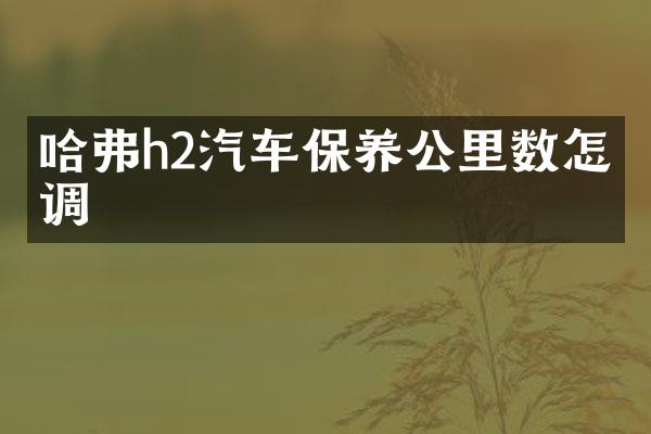 哈弗h2汽车保养公里数怎么调