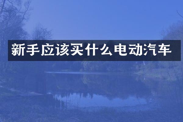 新手应该电动汽车