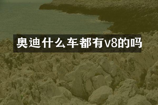 奥迪什么车都有v8的吗