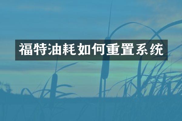 福特油耗如何重置系统