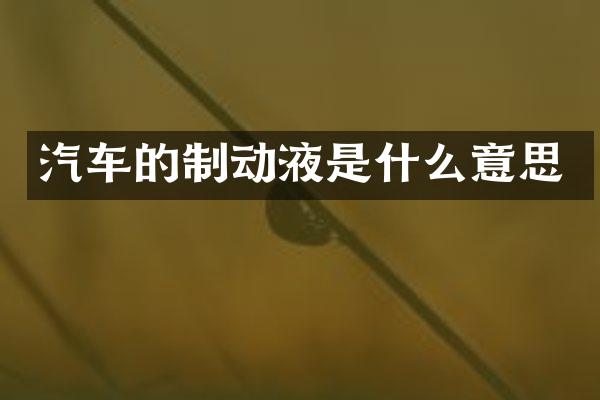 汽车的制动液是什么意思