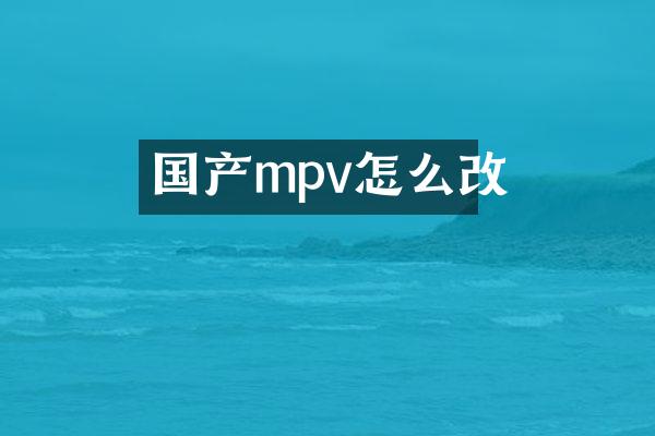国产mpv怎么改