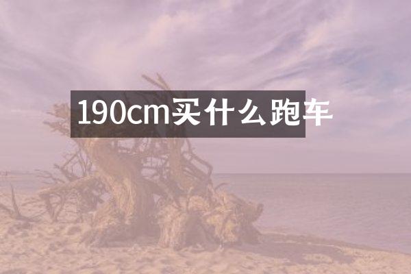 190cm买什么跑车