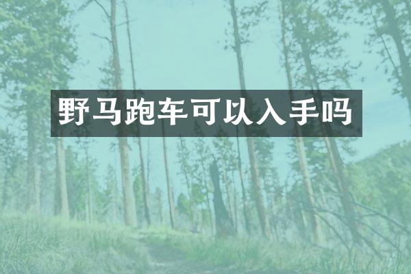 野马跑车可以入手吗