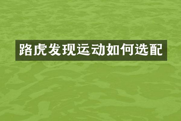 路虎发现运动如何选配