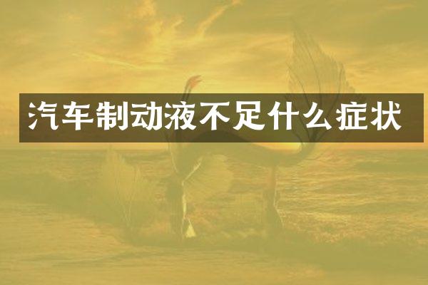 汽车制动液不足什么症状