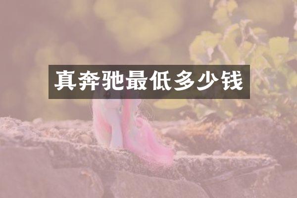 真奔驰最低多少钱